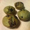 ぽち01's cooksnap of when they made 30分で完成☆HMで作る簡単マフィン.