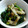4double5's cooksnap of when they made 簡単ほうれん草としめじのおひたし.