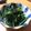 クックI8B7V6☆'s cooksnap of when they made ほうれん草と海苔のおひたし？.