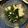 オリーブゥ's cooksnap of when they made 節約★豆腐とワカメの簡単手抜きサラダ.