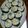 sorairoha's cooksnap of when they made 恵方巻に◇ツナとかにかまのサラダ巻寿司.