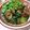 ももん♪'s cooksnap of when they made ダイエット胡瓜08　肉胡瓜炒め+パクチー.