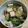 ＬＵＣＩ's cooksnap of when they made 白菜と豆腐のぽかぽかあんかけ丼.