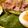 クックVNSB48☆'s cooksnap of when they made 簡単チャーシューwith煮卵.