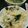 アラフィフまま☆☆☆'s cooksnap of when they made 炊飯器で☆ツナマヨピラフ.