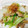 クックT1SAA5☆'s cooksnap of when they made 超簡単☆炒めるだけ☆豚バラと白菜の塩炒め.