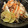 あっこ姉's cooksnap of when they made 梨とイカとキノコで♪すだち風味のマリネ.