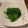 のえもゆ's cooksnap of when they made 白だしで簡単♪菜の花のおひたし.