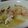 ダビデンコ's cooksnap of when they made お鍋の残りはあったかあんかけ炒飯に☆.