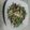 tmar146015's cooksnap of when they made ♪水菜とツナのわさびマヨサラダ♪.