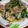 愛じゃな～い？'s cooksnap of when they made ☆簡単！安い！豚肉とニラもやしの炒め☆.