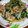 愛じゃな～い？'s cooksnap of when they made ☆簡単！安い！豚肉とニラもやしの炒め☆.