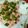 mmiom's cooksnap of when they made えんがわネギトロ丼.