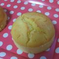 shaanti's cooksnap of when they made ヨーグルトフルーツケーキ.