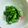 クックFNTN30☆'s cooksnap of when they made 菜の花＊マヨネーズとポン酢和え物＊ 副菜.