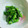 クックFNTN30☆'s cooksnap of when they made 菜の花＊マヨネーズとポン酢和え物＊ 副菜.
