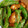 clovermiii's cooksnap of when they made ささみとスナップえんどう炒め.