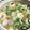 yummy?'s cooksnap of when they made 白菜まきまき鍋.