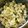 ecouteck's cooksnap of when they made 教科書通りが1番美味しい！親子丼.