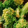 ☆えびふらい☆'s cooksnap of when they made ブロッコリーの胡麻和え 冷凍可能！.