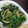 とも☆♪☆♪'s cooksnap of when they made 味噌がミソ♫ほうれん草の胡麻たっぷり和え.