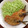 horseland's cooksnap of when they made 安上がりな夕食♫イワシのフライ.