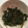 ちゃろみん's cooksnap of when they made 3分で!お弁当用ピーマンのおひたし.