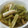のすけマミー's cooksnap of when they made 蕗とたけのこの煮物.