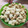 ☆Yumin☆☆'s cooksnap of when they made 簡単＊HMでさつまいものしっとりクッキー.