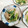 ポロポリん's cooksnap of when they made カブと小松菜のシャキシャキ☆マヨ炒め.