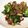 クックDKOS0X☆'s cooksnap of when they made 野菜たっぷり♡ツナ缶入り八宝菜風.