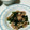 ハナチャ's cooksnap of when they made ぱぱっと♪豚肉と春菊の柚子胡椒炒め.