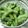 ゆうかりコアラ's cooksnap of when they made ●枝豆のゆで方●.