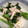 liarra's cooksnap of when they made のらぼう菜の柚子塩糀和え.