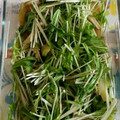 麗龍蘭's cooksnap of when they made レンジで水菜とえのきのおひたし.