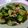 ななぐくん's cooksnap of when they made 野菜たっぷり♡回鍋肉.
