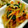 4double5's cooksnap of when they made たっぷり野菜ともやしのナムル♡.