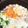 ﾖﾝｱ's cooksnap of when they made ＊旨味！塩鍋(超簡単)＊.