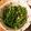 クック8OCNSQ☆'s cooksnap of when they made 《常備菜》無限ピーマン.
