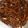 クックLTAP7Y☆'s cooksnap of when they made いかなごのくぎ煮～我が家の味.