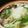 アイアンツリー's cooksnap of when they made お腹に優しい！鶏しょうがみぞれ鍋！.