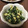そうたん♡こうたん's cooksnap of when they made 超簡単！！ほうれん草のマヨネーズソテー.