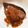 yucocona's cooksnap of when they made ブリの照り焼き.