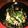 きょさりん's cooksnap of when they made ベーコンとほうれん草のパスタ.
