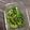 Ms_BURNS's cooksnap of when they made 捨てるのもったいない！かぶ菜の胡麻煮.