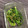 Ms_BURNS's cooksnap of when they made 捨てるのもったいない！かぶ菜の胡麻煮.