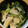 グウママ's cooksnap of when they made 小松菜と油揚げの煮浸し.