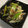 EGUDON's cooksnap of when they made お弁当に♪長ネギのおかか炒め.