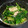 Hirarinn☆'s cooksnap of when they made 簡単☆ほうれん草のナムル.