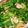 クックSG4UXE☆'s cooksnap of when they made 出汁が美味しい!もつ鍋.